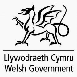 Welsh Govt Logo Welsh Govt Logo